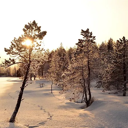 Loma-asunnot Village *