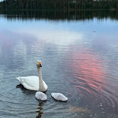 Дом отдыха Village *