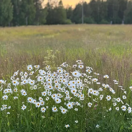Дом отдыха Village *