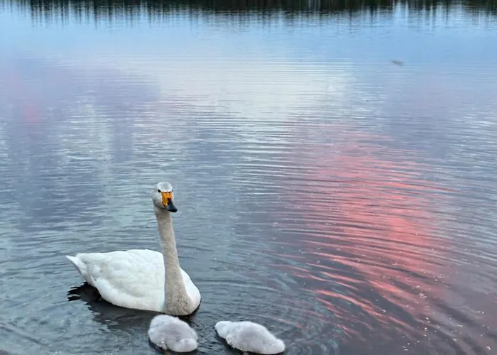 Semesterbostad Village *